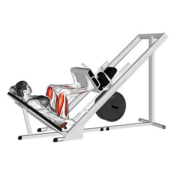 Sled 45 degrees Wide Stance Leg Press