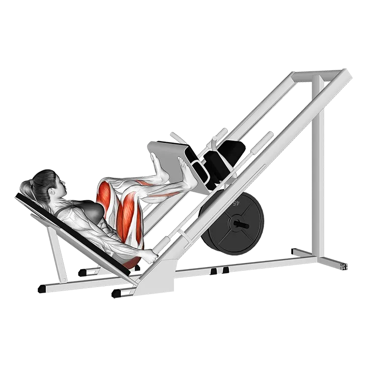 Sled 45 degrees Wide Stance Leg Press exercise animation (Female)
