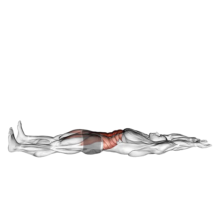 V-up exercise animation (Male)