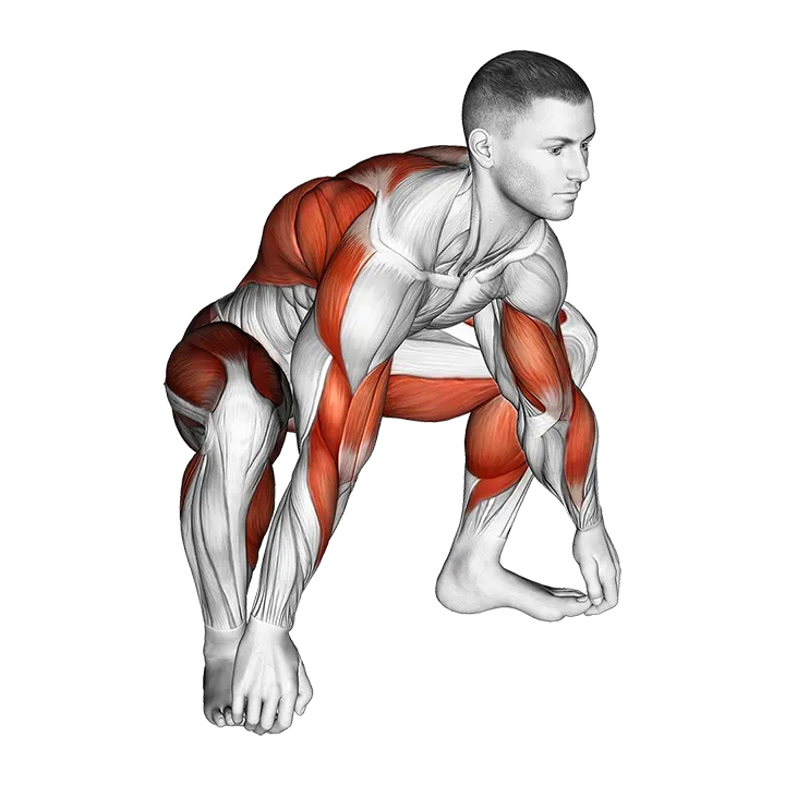Sitting Sumo Mobility Stretch exercise animation (Male)