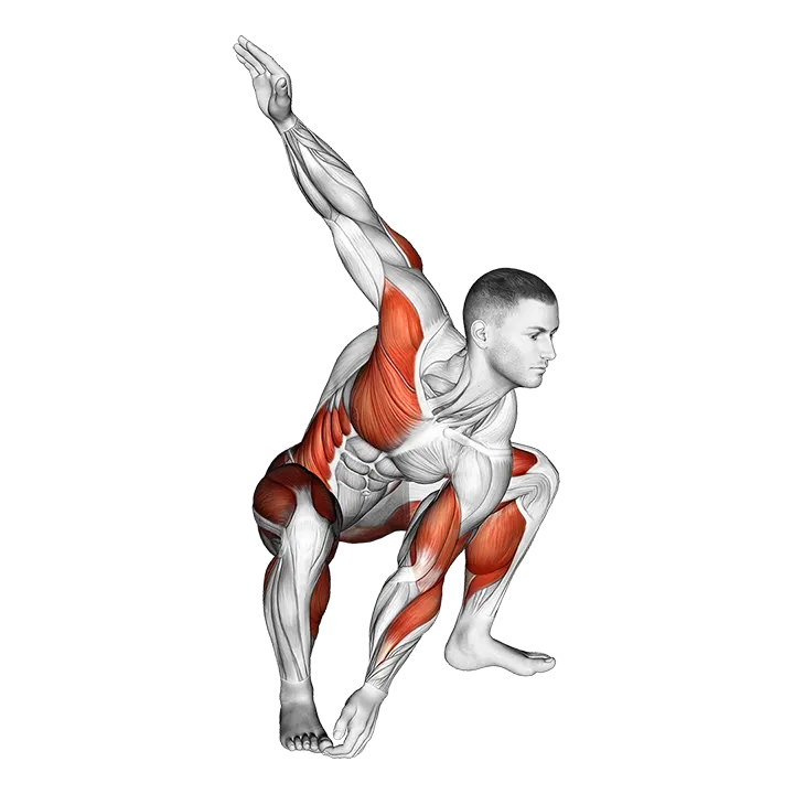 Sitting Sumo Left Twist Stretch exercise animation (Male)