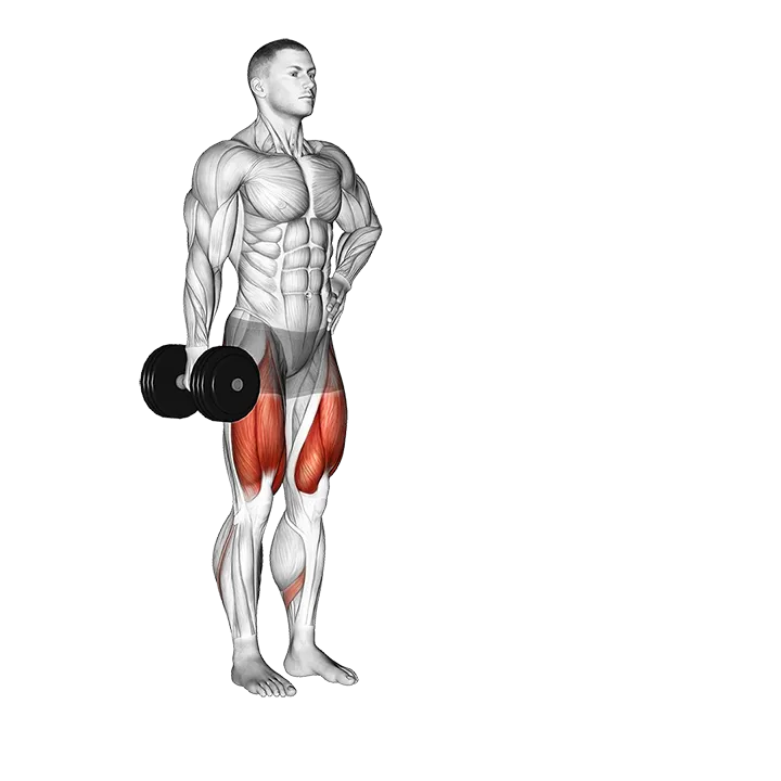 Dumbbell Contralateral Forward Lunge exercise animation (Male)