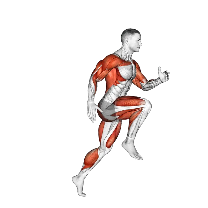 Wheel Run exercise animation (Male)