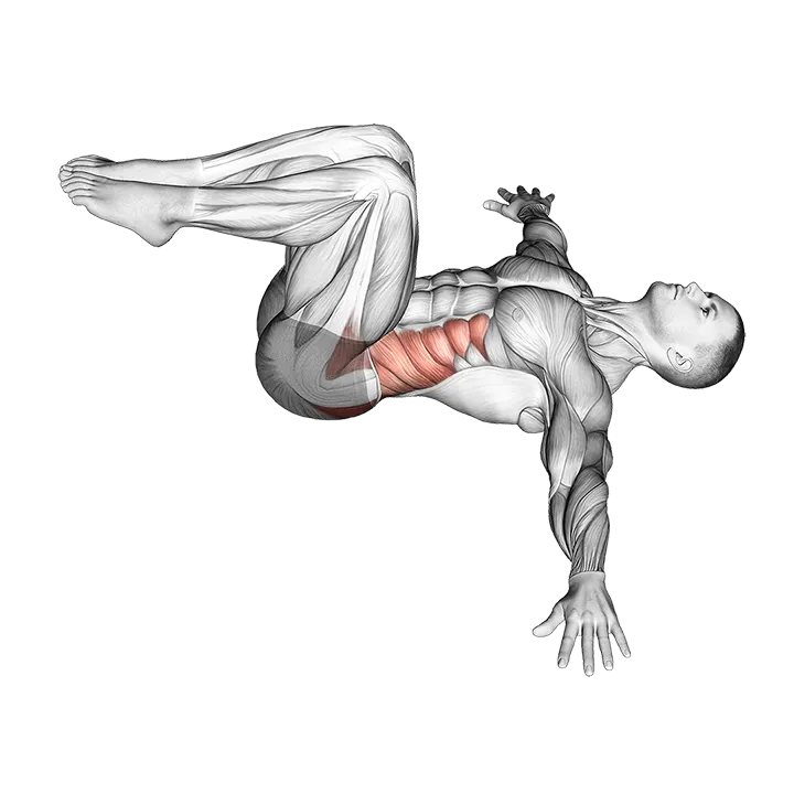 Bent knee Lying Twist exercise animation (Männlich)