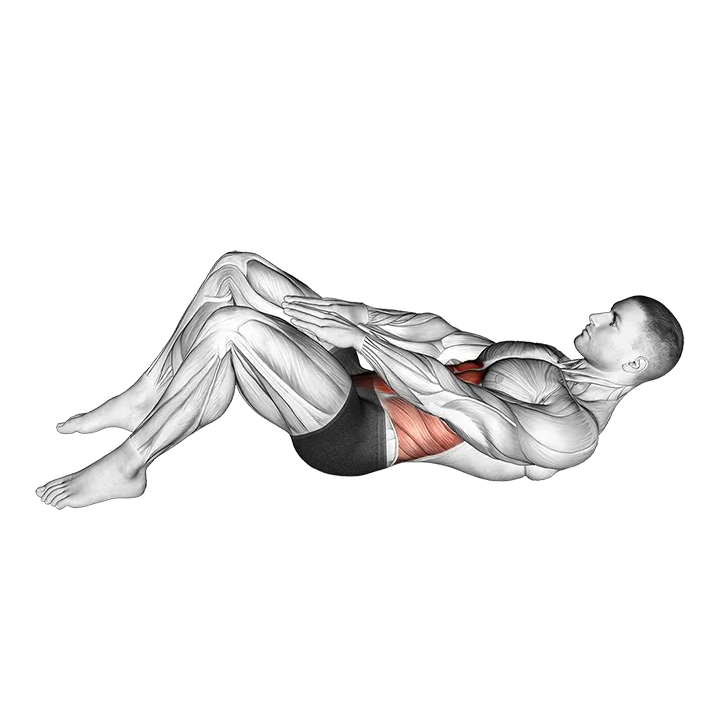 Knee Touch Crunch exercise animation (Male)