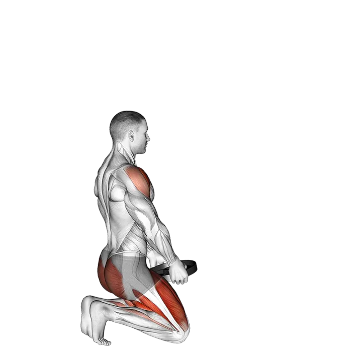 Weighted Kneeling Step with Swing exercise animation (Male)