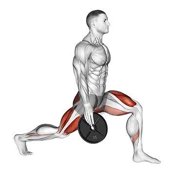 Weighted Stretch Lunge