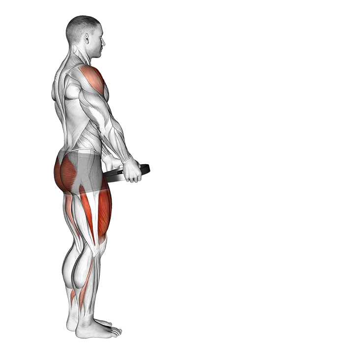 Weighted Lunge with Swing exercise animation (Männlich)