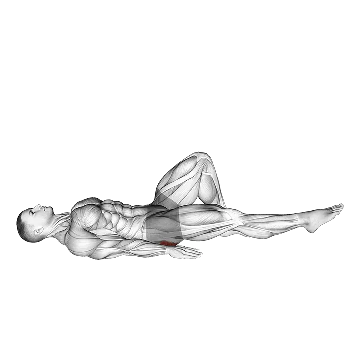 Single Leg Bridge with Outstretched Leg exercise animation (Male)