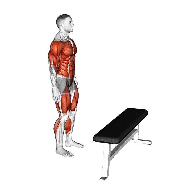 Jump Box exercise animation (Male)