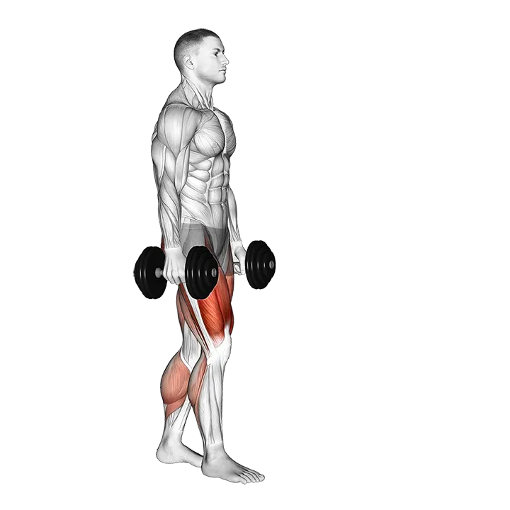 Dumbbell RDL Death March exercise animation (Male)