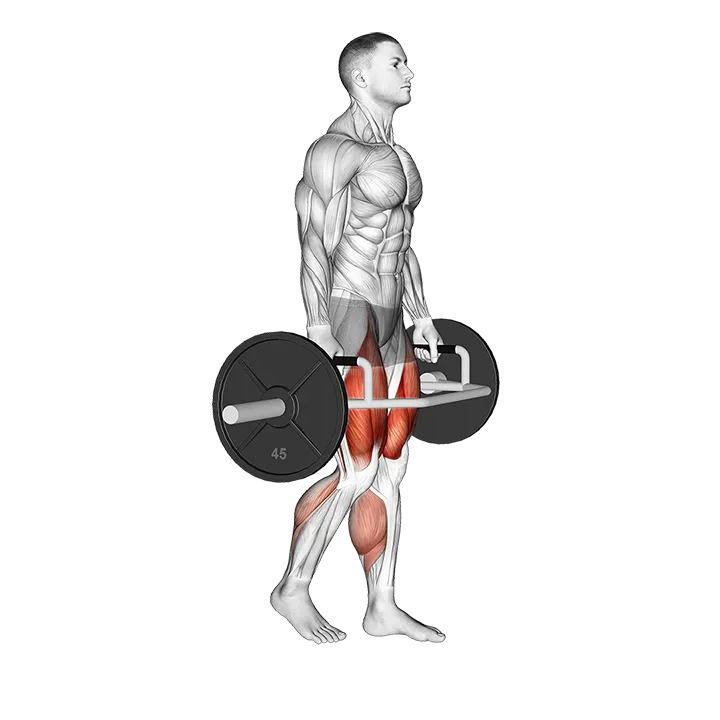 Trap Bar Split Stance RDL exercise animation (Male)