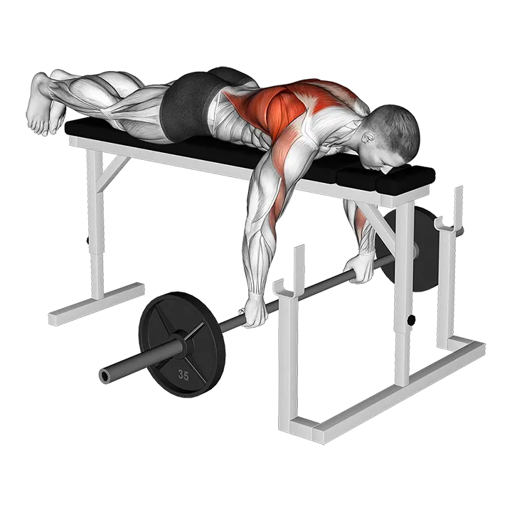 Barbell Lying Row on Rack exercise animation (Male)