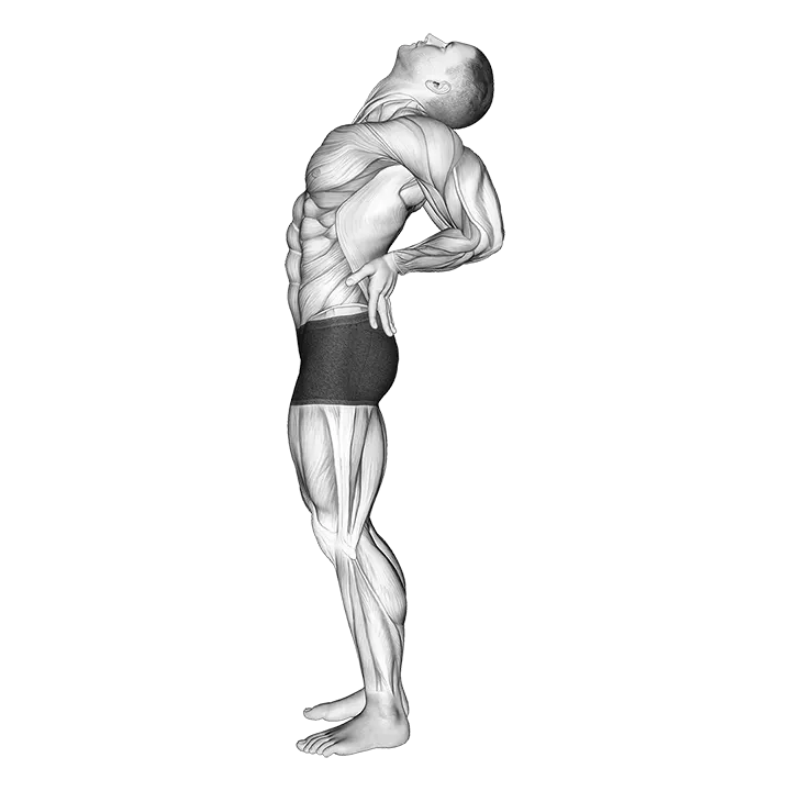 Static Position Standing exercise animation (Male)