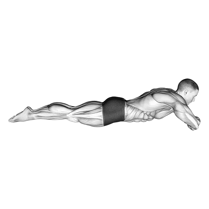 Static Position Lying Front exercise animation (Male)