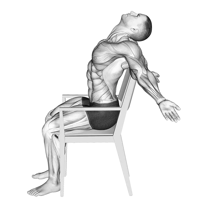 Static Position Seated Back exercise animation (Male)