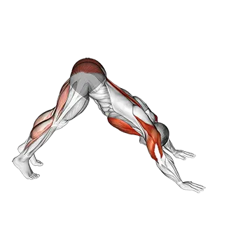 Pike-to-Cobra Push-up