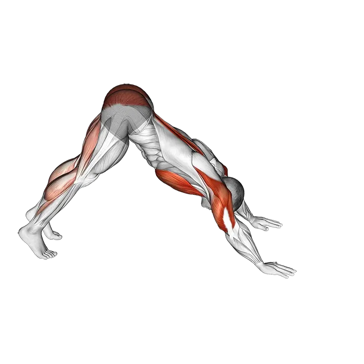Pike-to-Cobra Push-up exercise animation (Male)