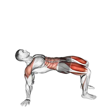 Reverse Plank with Leg Lift
