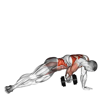 Dumbbell Side Plank with Rear Fly