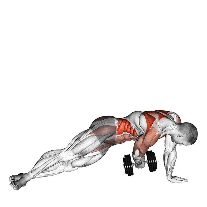 Dumbbell Side Plank with Rear Fly exercise animation (Male)