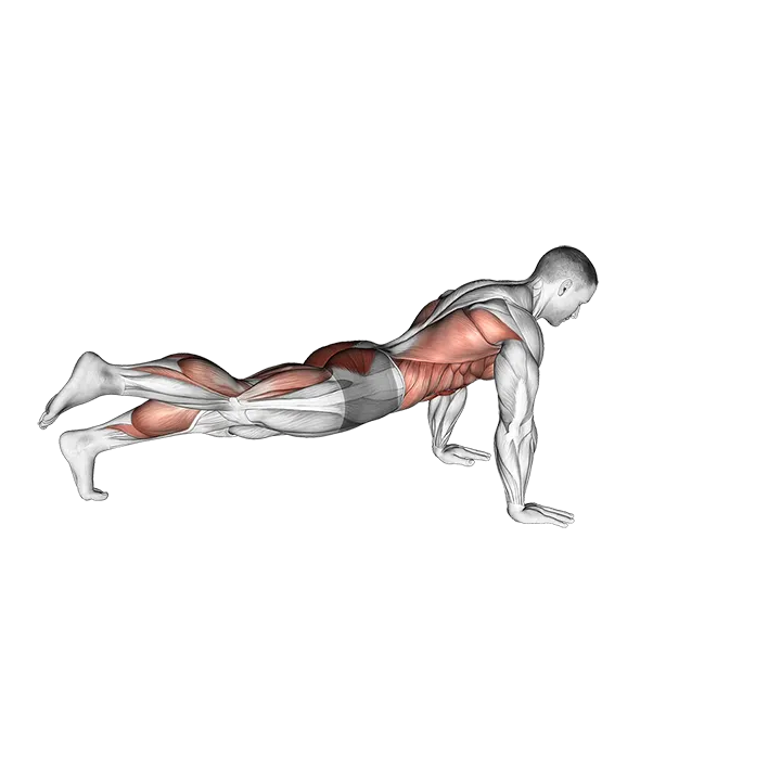 Power Point Plank exercise animation (Male)