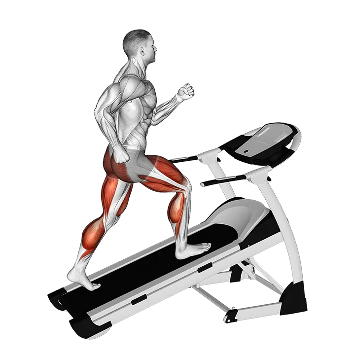 Walking on Incline Treadmill exercise animation (Male)
