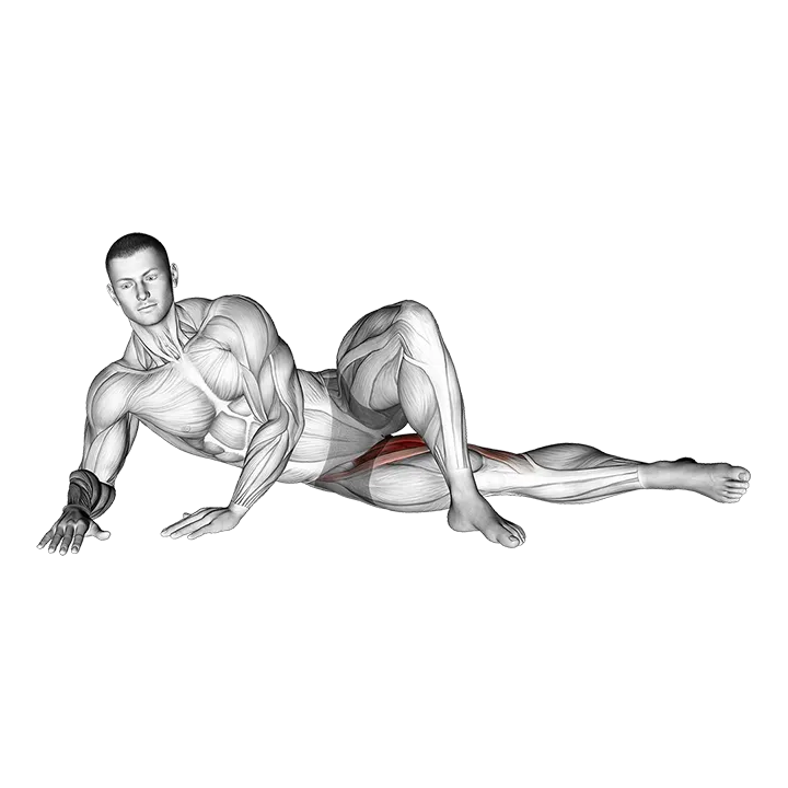 Side Lying Hip Adduction exercise animation (Male)
