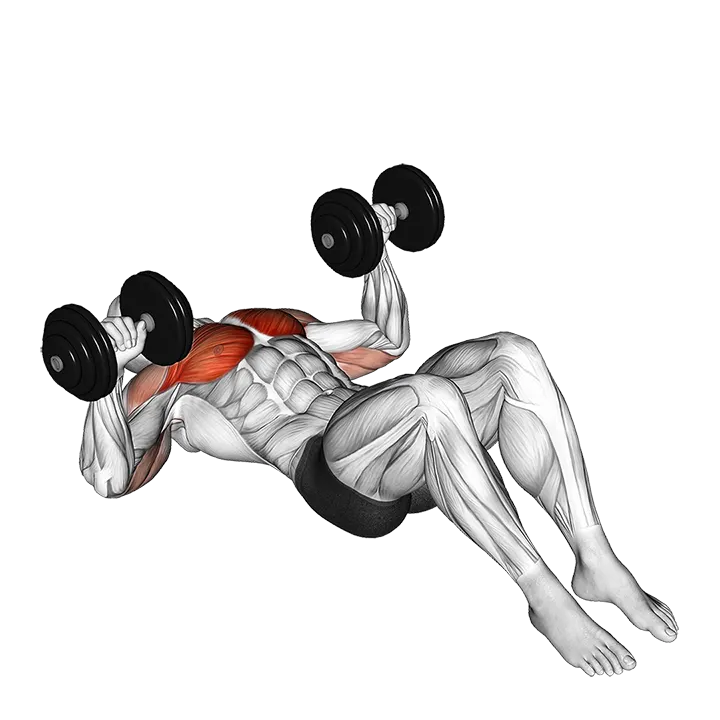 Dumbbell Lying on Floor Chest Press exercise animation (Male)