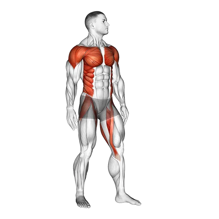Standing Archer exercise animation (Male)