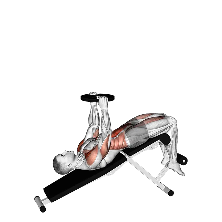Weighted Decline Sit-up exercise animation (Male)