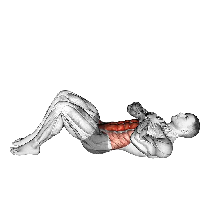 Sit-up with Arms on Chest exercise animation (Male)