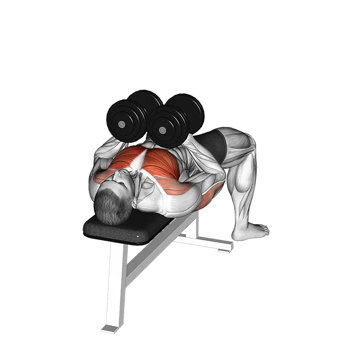 Dumbbell Squeeze Bench Press exercise animation (Male)