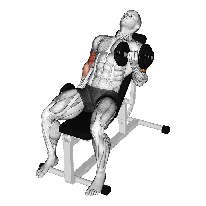 Dumbbell Incline Alternate Bicep Curl exercise animation (Male)