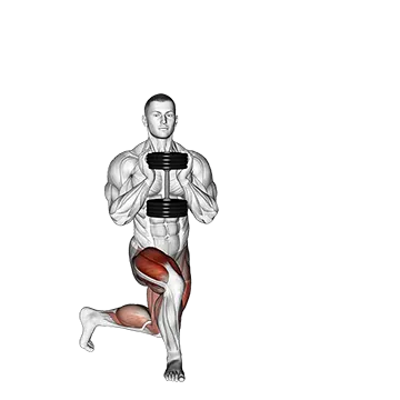 Dumbbell Gobelt Curtsey Lunge