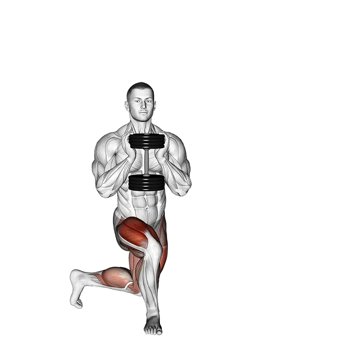 Dumbbell Gobelt Curtsey Lunge exercise animation (Male)