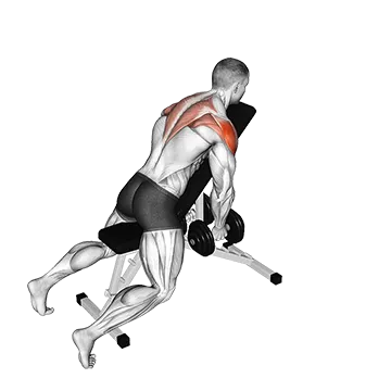 Dumbbell Chest Supported Lateral Raises