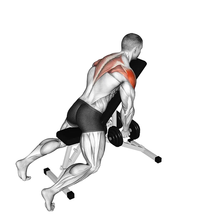 Dumbbell Chest Supported Lateral Raises exercise animation (Male)