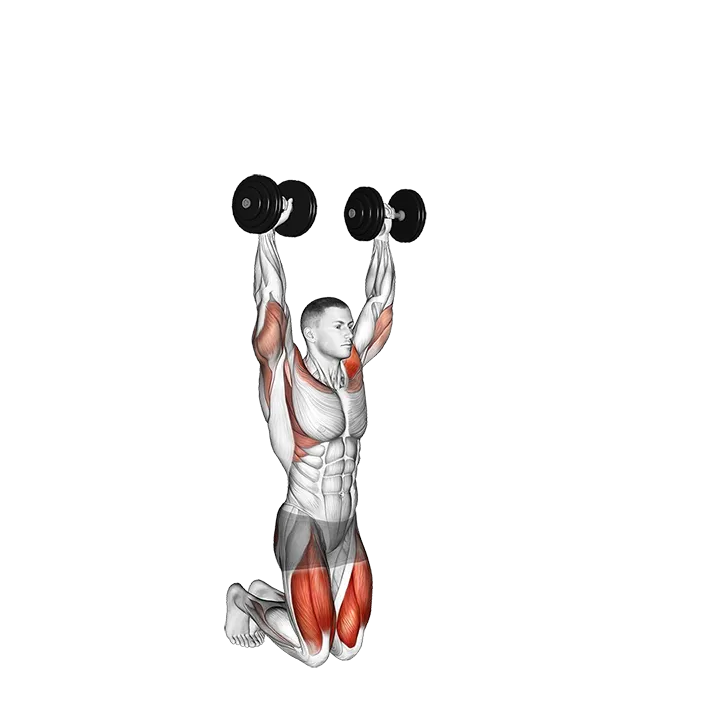 Dumbbell Kneeling Hold to Stand exercise animation (Male)