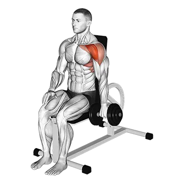 Dumbbell Seated One Arm Front Raise