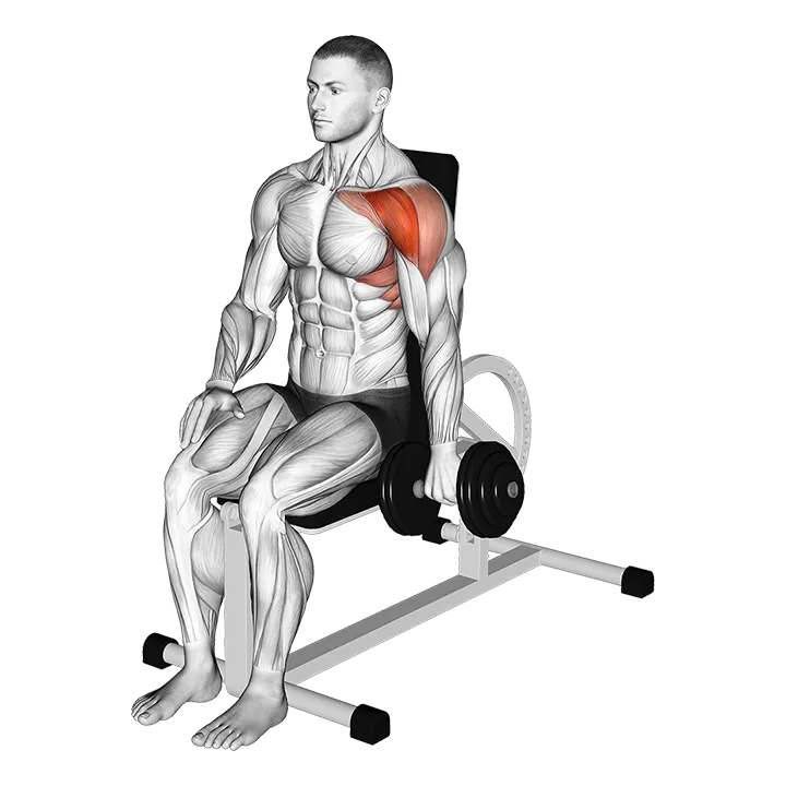 Dumbbell Seated One Arm Front Raise exercise animation (Male)