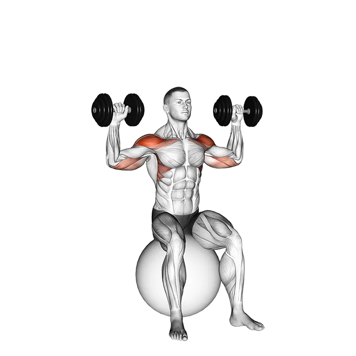 Dumbbell Seated on Exercise Ball Shoulder Press exercise animation (Male)