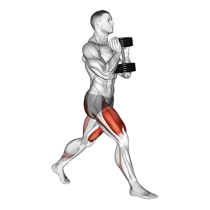 Dumbbell Goblet Split Squat exercise animation (Male)
