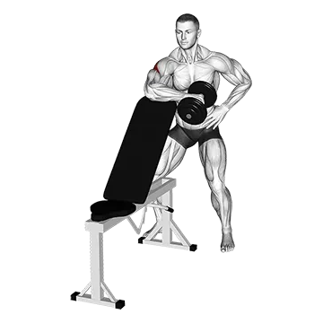 Dumbbell Bench Supported External Rotation