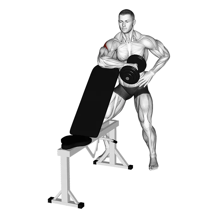 Dumbbell Bench Supported External Rotation exercise animation (Male)