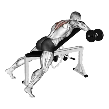 Dumbbell Incline Alternate Reverse Fly