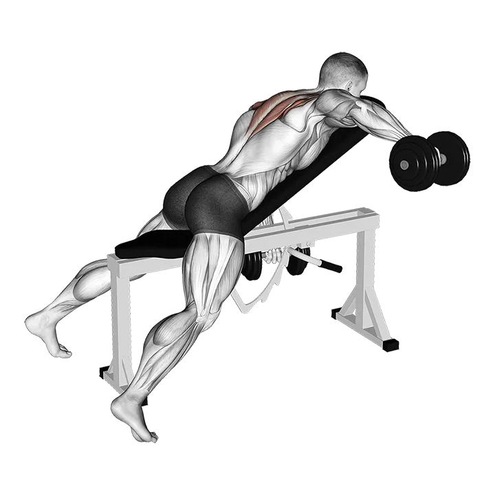 Dumbbell Incline Alternate Reverse Fly exercise animation (Male)