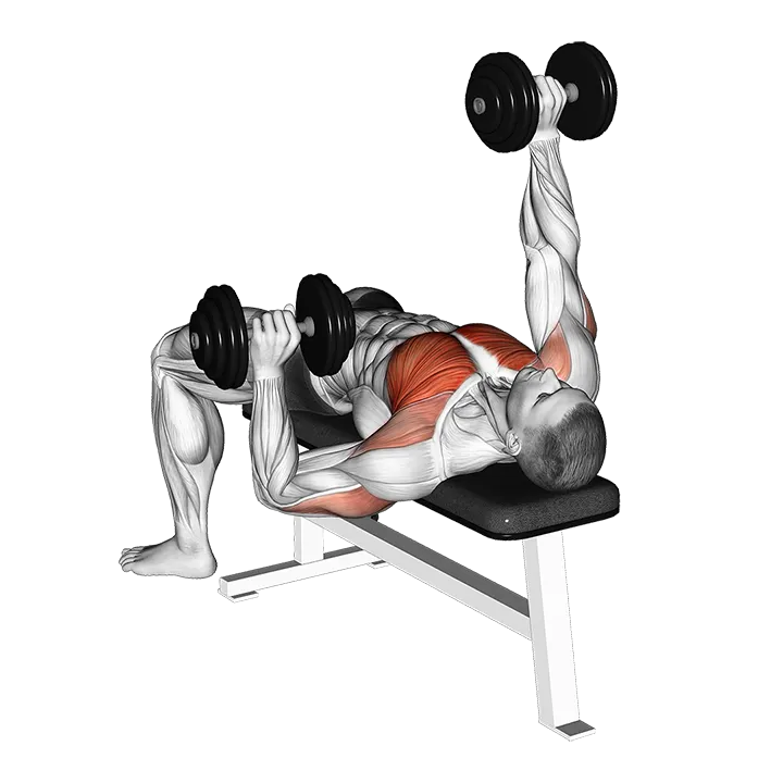 Dumbbell Alternate Bench Press (high start) exercise animation (Male)