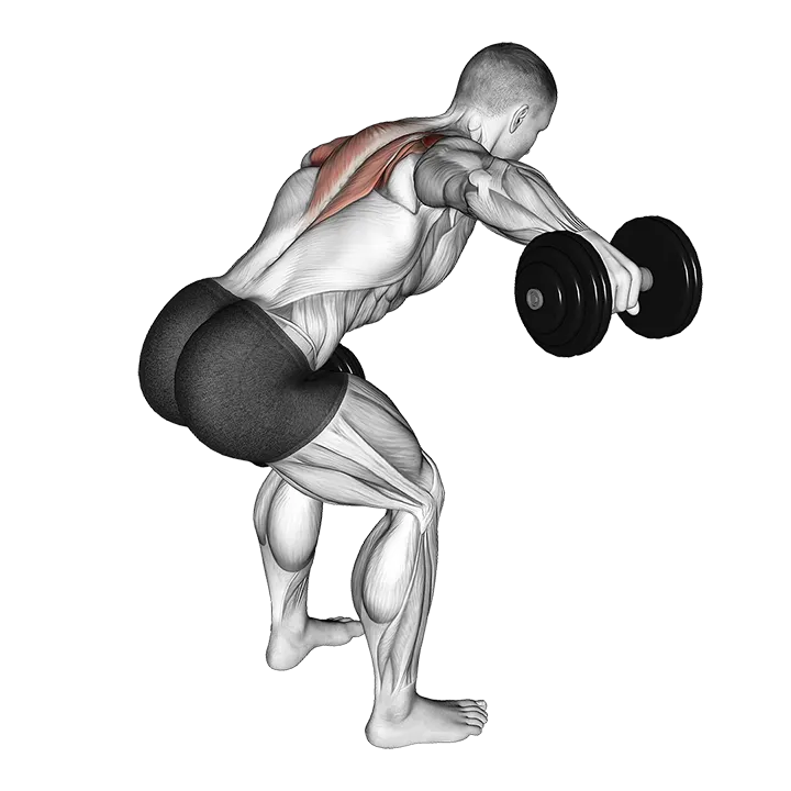 Dumbbell Bent Over Alternate Rear Delt Fly exercise animation (Male)