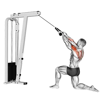 Cable Kneeling Rear Delt Row (with rope)